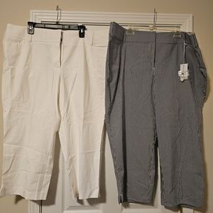 Lane Bryant White And Blue Striped Cropped Pants Size 24